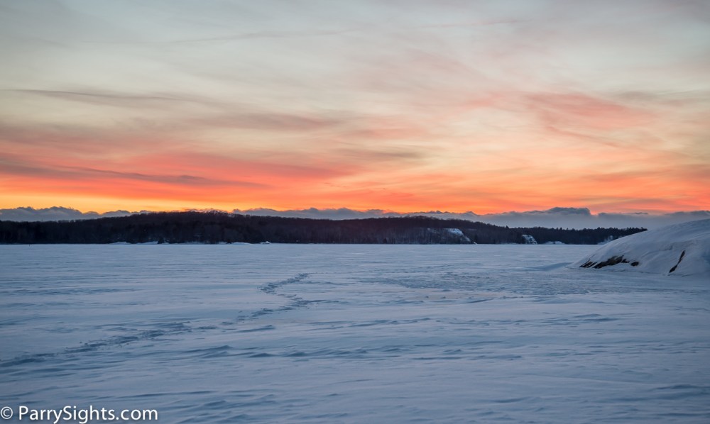 ParrySights-600-5369