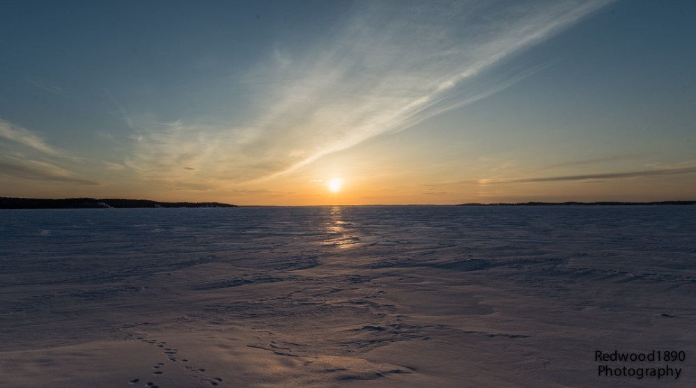 Redwood189020150306-_DSC9432_DxO