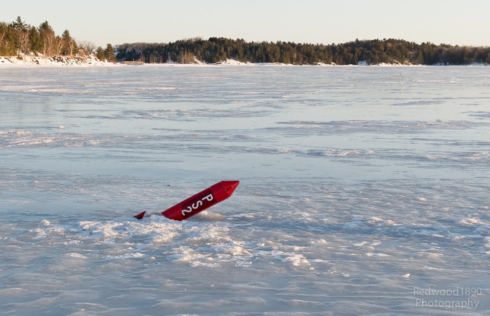 Redwood189020150328-_DSC9047_DxO