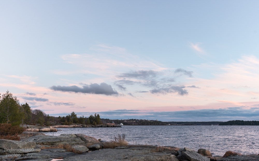 Redwood1890-20151225-DSC_2059