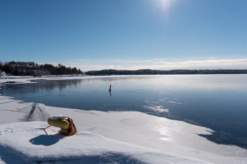 Redwood1890-20160121-_DS72924