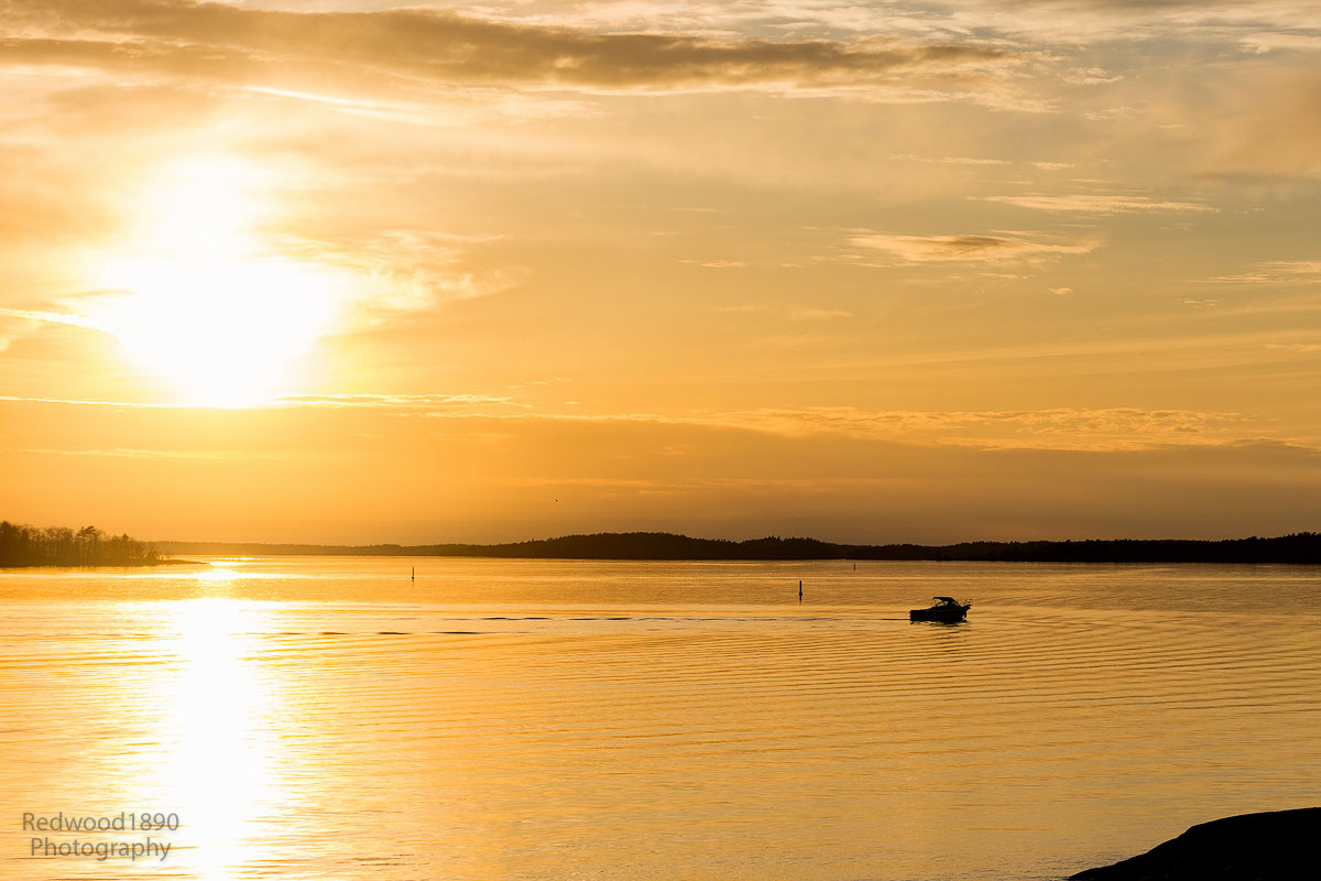 Redwood1890-20160423-20160420-_DSC2823-copy